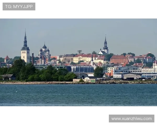 2018年爱沙尼亚与立陶宛足球对决回顾及赛后分析 2018年爱沙尼亚与立陶宛足球对决回顾及赛后分析