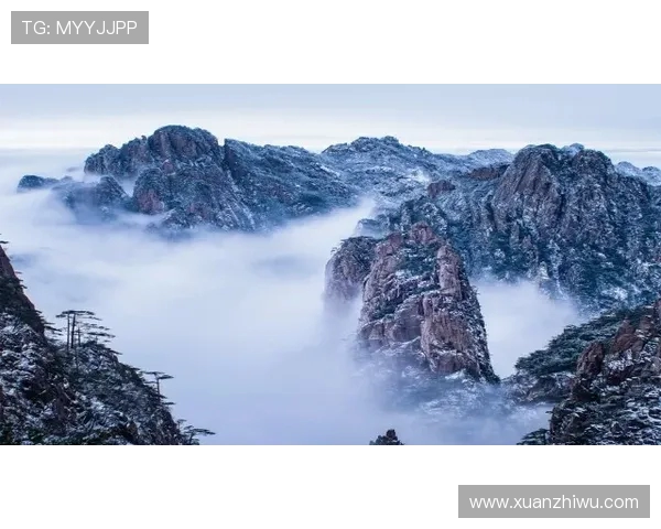 奈梅斯主场迎战大巴黎力争逆袭展现球队斗志与实力