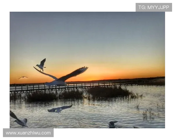 重庆街舞队在极限运动会上的拼搏历程与梦想追逐之旅