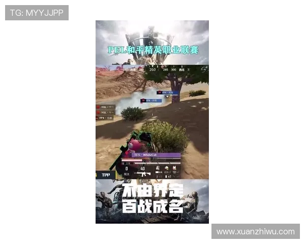 和平精英战队TES的荣耀之路与突破历程全景纪实 和平精英战队TES的荣耀之路与突破历程全景纪实