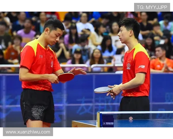 成都乒乓球队战术解析：全面解读其盯防体系与实战应用