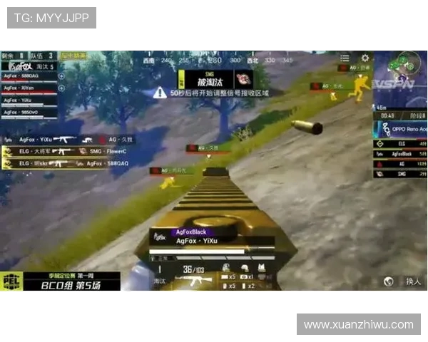 和平精英深度解析：RNG战队的战术意识与团队协作探讨