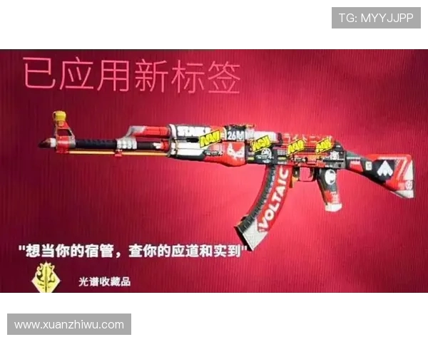 深入探讨FPX在CSGO中的战术创新与技术应用分析